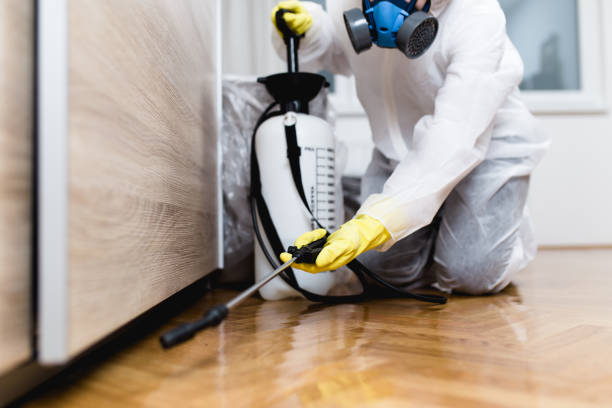 Reliable Northeast Ithaca, NY Pest Control Solutions