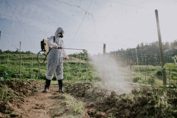 Best Mosquito Control Services  in Northeast Ithaca, NY