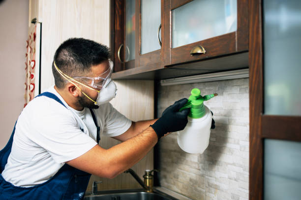 Best Flea Control Services  in Northeast Ithaca, NY