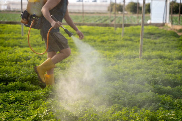 Best Local Pest Control Services  in Northeast Ithaca, NY