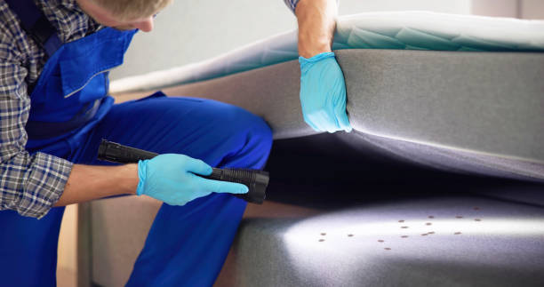 Best Ant Control Services  in Northeast Ithaca, NY