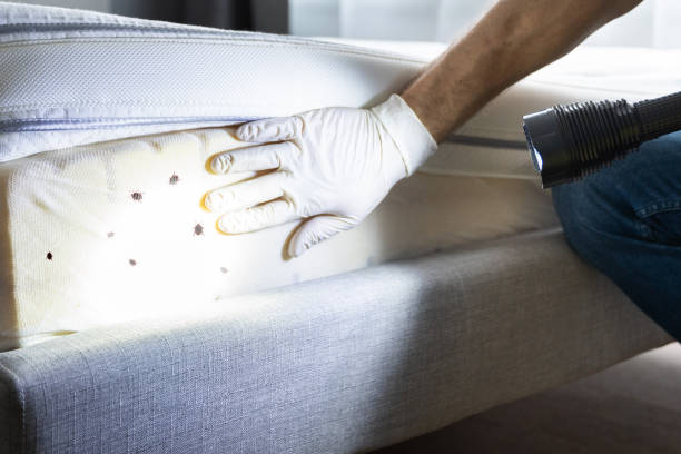 Pest Prevention Services in Northeast Ithaca, NY